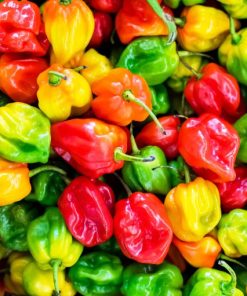 SEAU DE PIMENT FRAIS