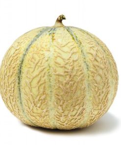 MELON [1KG]