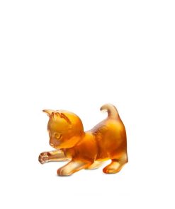 Mini chatons joueur ambre daum