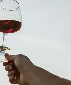 Box “Grands Sauvignons”