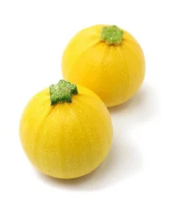 Courgette Ronde Jaune