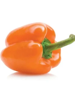 Poivron Orange