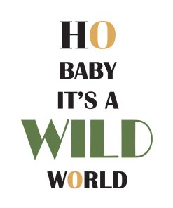 “Ho Baby It’s A Wild World” – Poster chanson