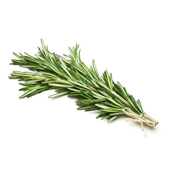 Romarin Frais