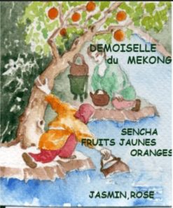 Thé vert parfumé Demoiselle du Mekong – Thé vert fruits jaunes orange rose jasmin – Sachet 100 g net