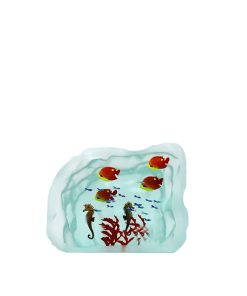 Aquarium poissons verre yves trucchi